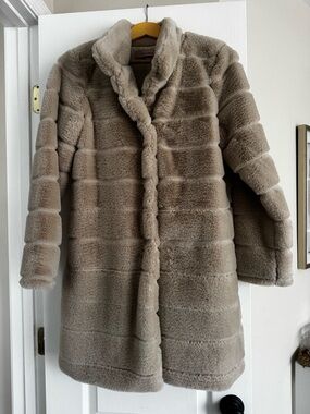 Chateau Taupe Plush Teddy Coat